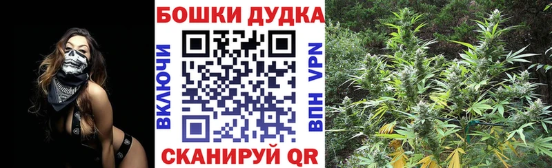 Канабис Bruce Banner Таруса
